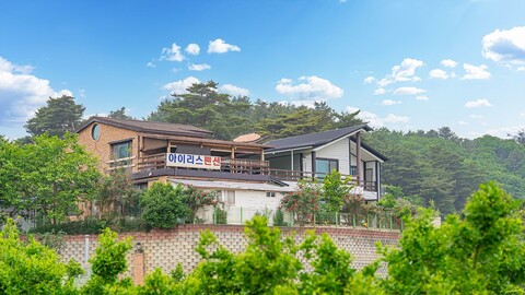 양양 낙산아이리스