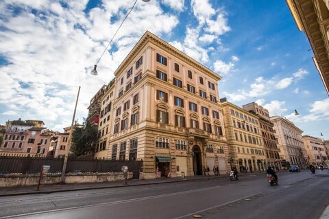 마젠타 컬렉션 나보나