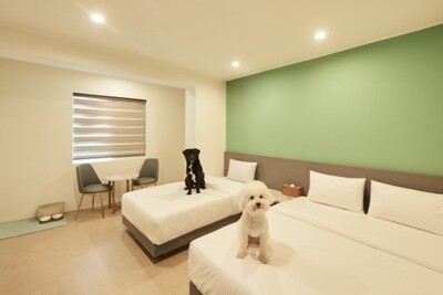 속초 도글리아 호텔 (DOGLIA HOTEL)