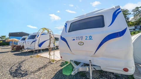 포항 푸른고래카라반