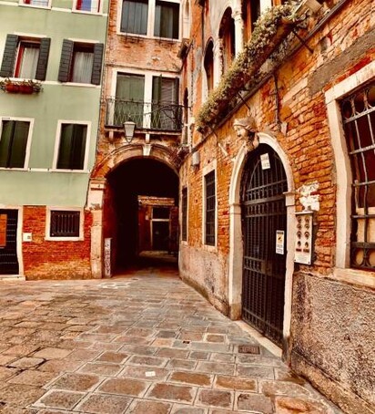 The Wolf House Greysclass