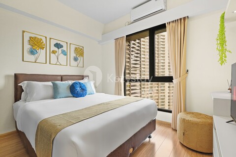 코지스테이 바이 솔라스 - BSD