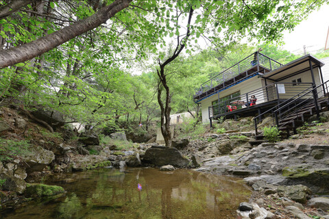 가평 숲속다람쥐펜션