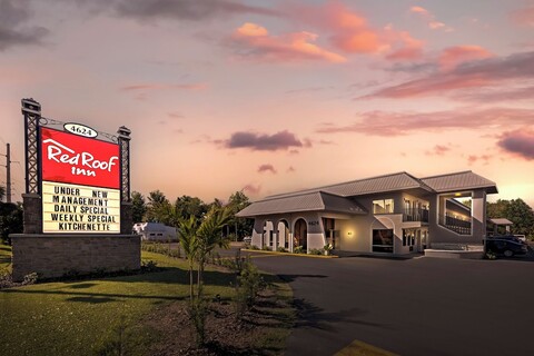 레드 루프 인 키시미