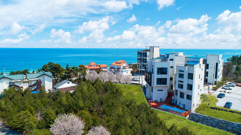 강릉 파라다이스펜션