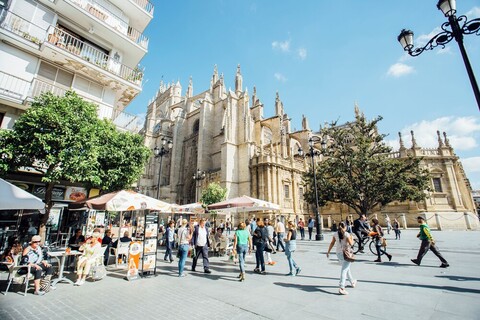 카테드랄의 아름다운 전망