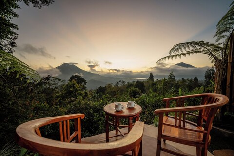 파양 캐빈 킨타마니