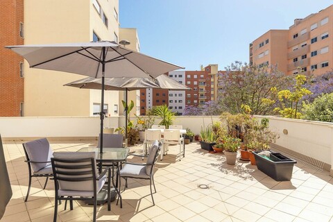 리스본의 현대적인 오아시스 스테이