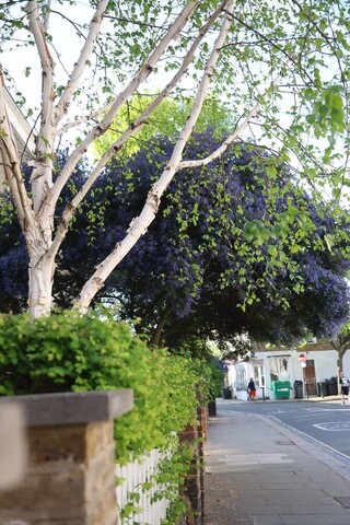 스마트 스튜디오