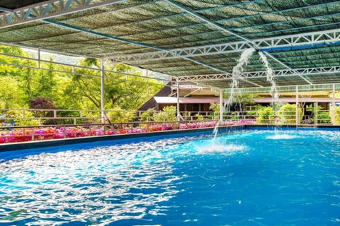 서산 숲속의펜션