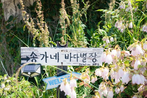 동해 송가네 바다별장