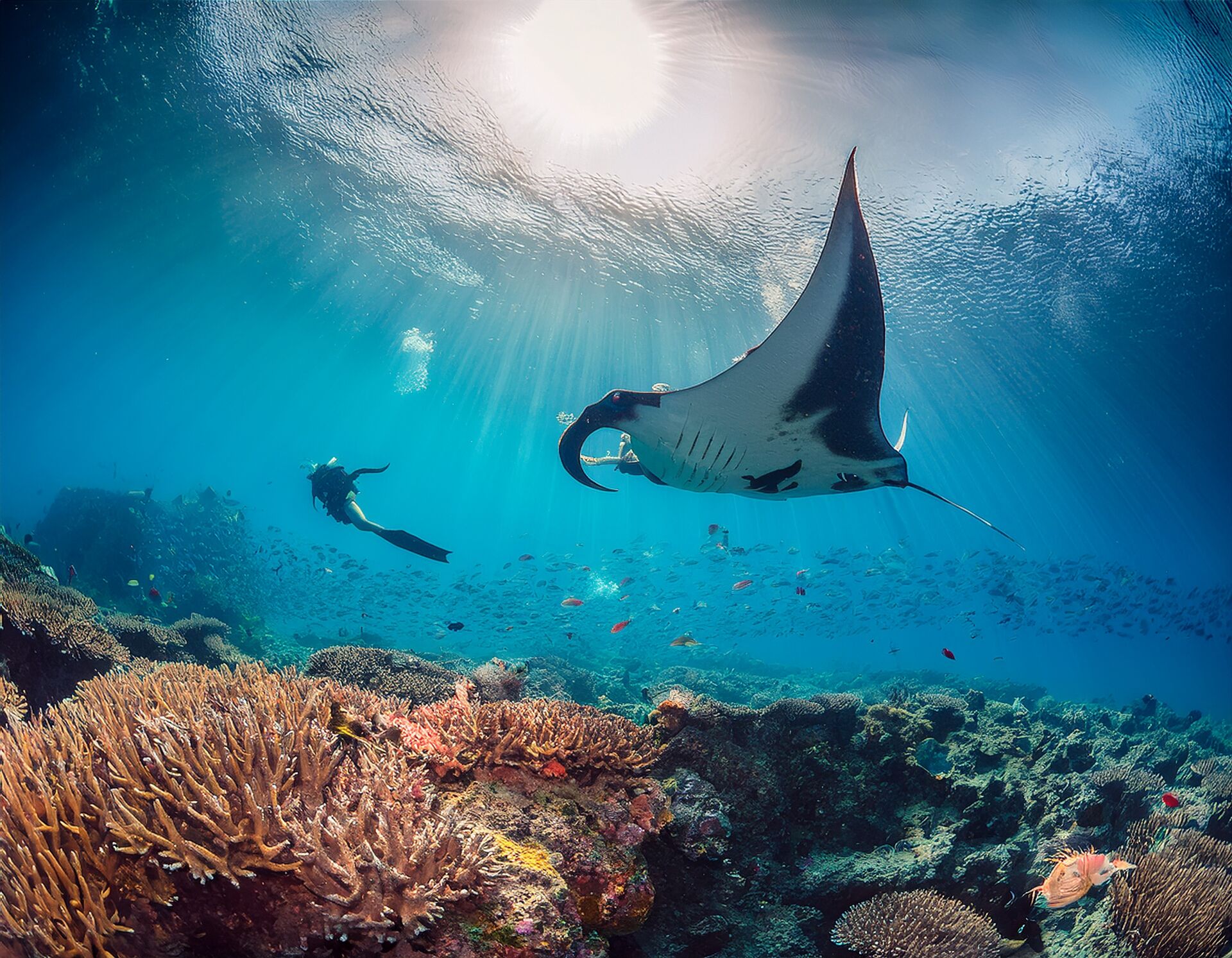 여행 상품 이미지