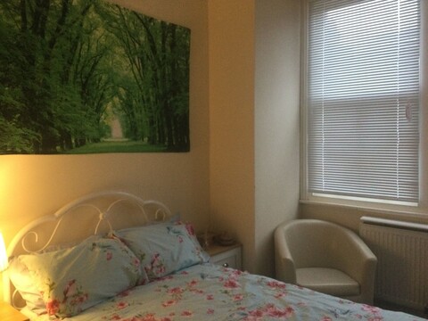 TDM 버첼롯 레팅스