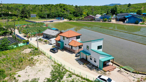 고성 스테이화소재