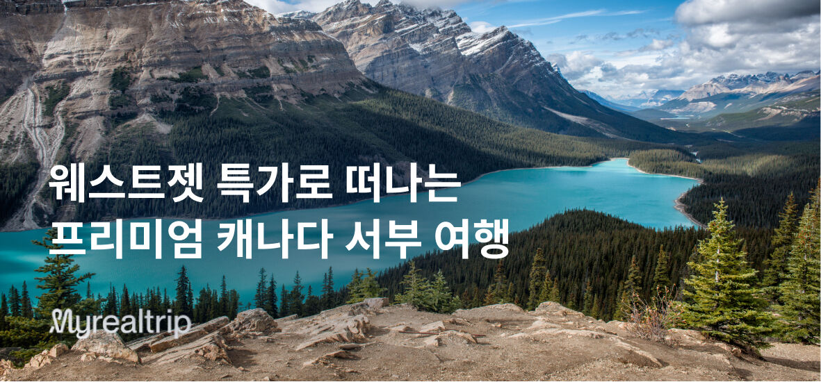 https://dry7pvlp22cox.cloudfront.net/mrt-images-prod/2025/06/26/0Oj8/AWB4LrmkSY.jpg