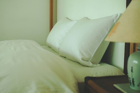 호스텔 마운트 후지-후쿠야