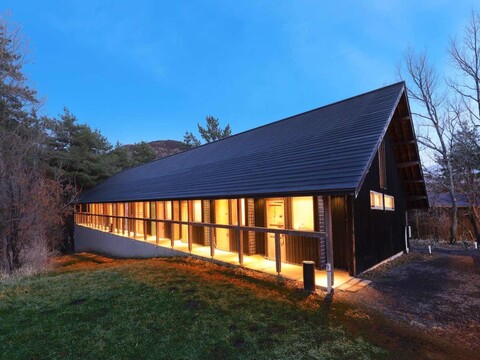 오이타 쿠주 토라노유