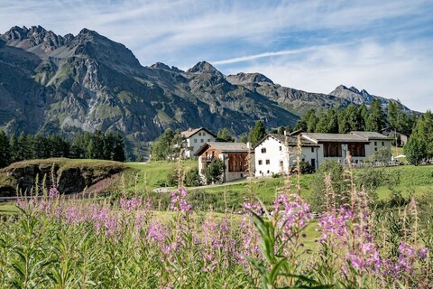호텔 체사 풀 발 페스