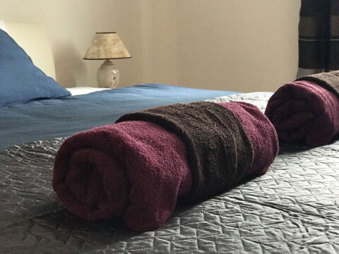 토르토사 블루
