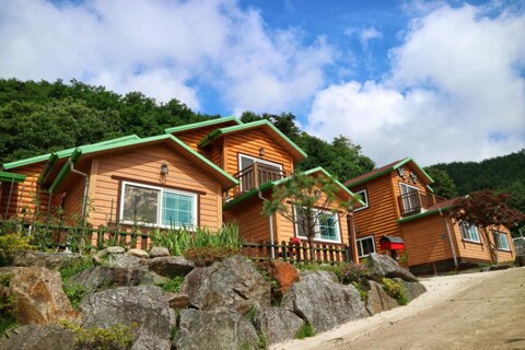 양양 애견펜션강이네하우스