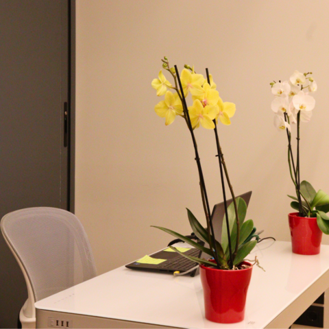 Hostal La Rua - Montera