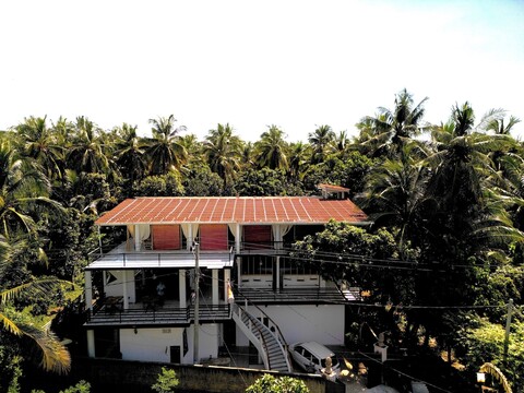 갤러리쿠커리 머메이드