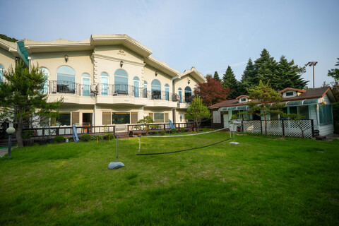 홍천 마로니에펜션