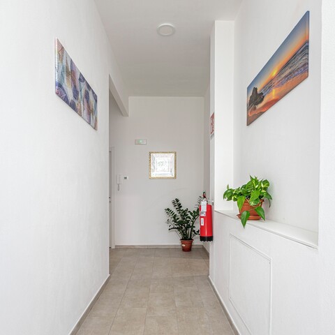 수오레 피글리에 디 산 프란체스코 디 살레스