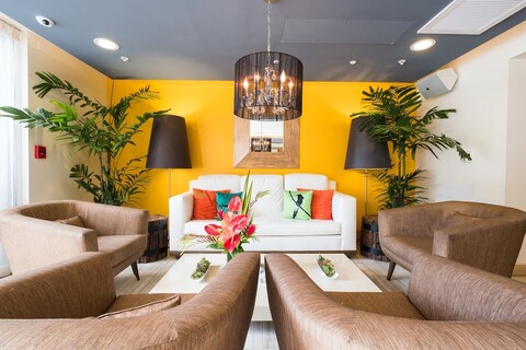 바이브 호텔 와이키키