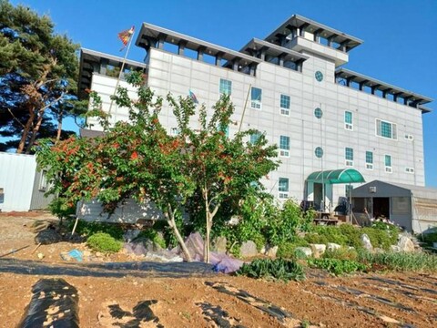 Koza Pension