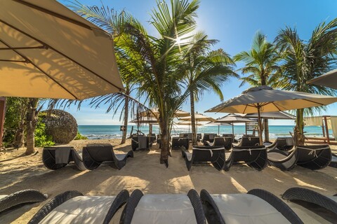 Mvngata 비치 호텔