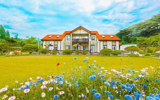 안면도 친구네 펜션