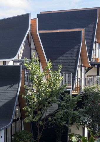 바흐 플레이스 다랏