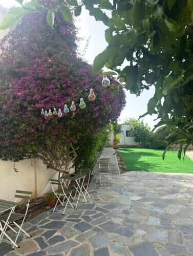 Hostl - Beds & Rooms - The Hostel Inn Paphos, Old Town-i