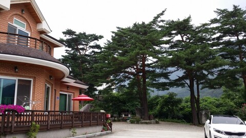 강릉 소금강시즌펜션