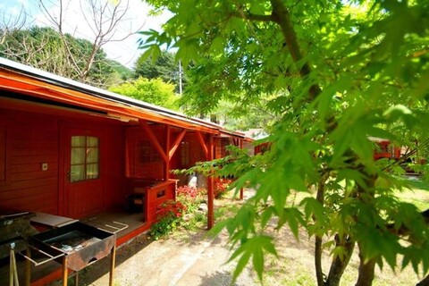 Deep Mountain Ongdal Spring Pension