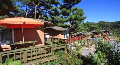 Pension Tom and Jerry