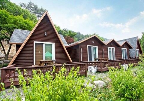 Tree Fragrance Pension