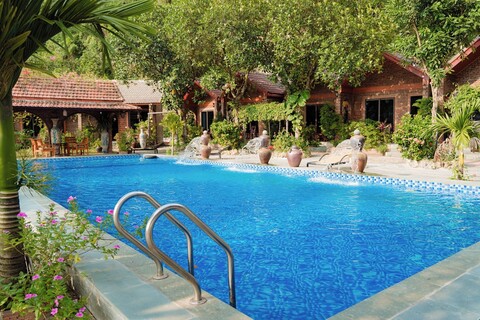 탐 코크 미스터로아 홈스테이