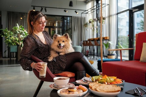 모락시 파리 발 드 유럽