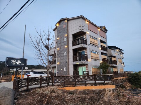 울산 스테이 청춘