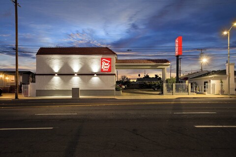 레드 루프 인 카슨 - 윌밍턴