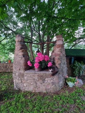 Agriturismo Case in Collina