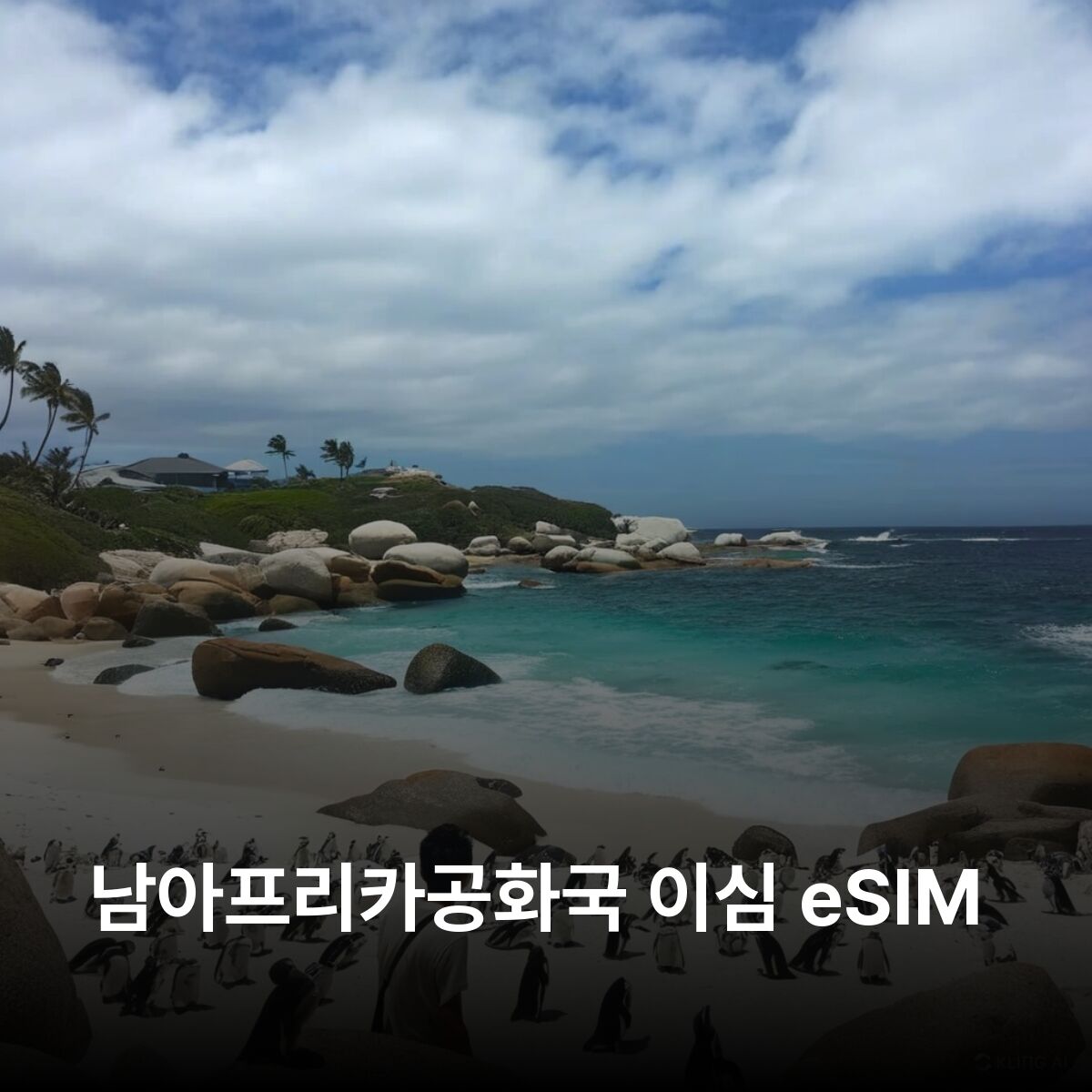 [통큰무제한] 남아프리카공화국 이심 eSIM 데이터 매일5GB 초고속 이후 1MB고속무제한