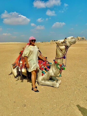 외국인 전용 클레오파트라, 이집트 피라미드 뷰