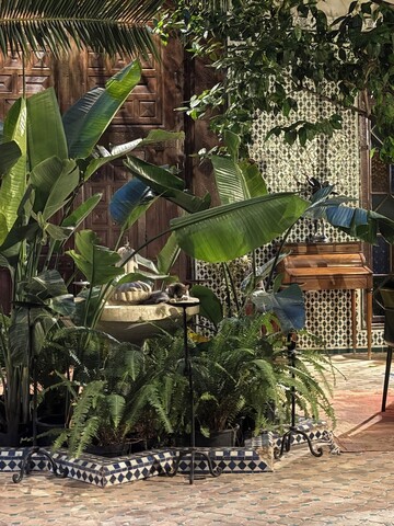 리아드 하르마탄