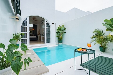 아만조히 시아르가오