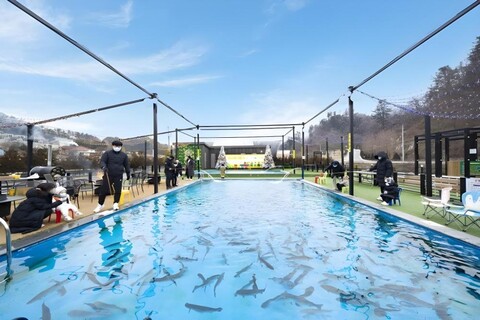 가평 아만다 키즈 글램핑