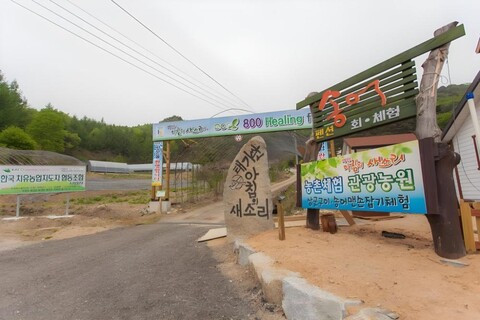 강원 태기산아침의새소리