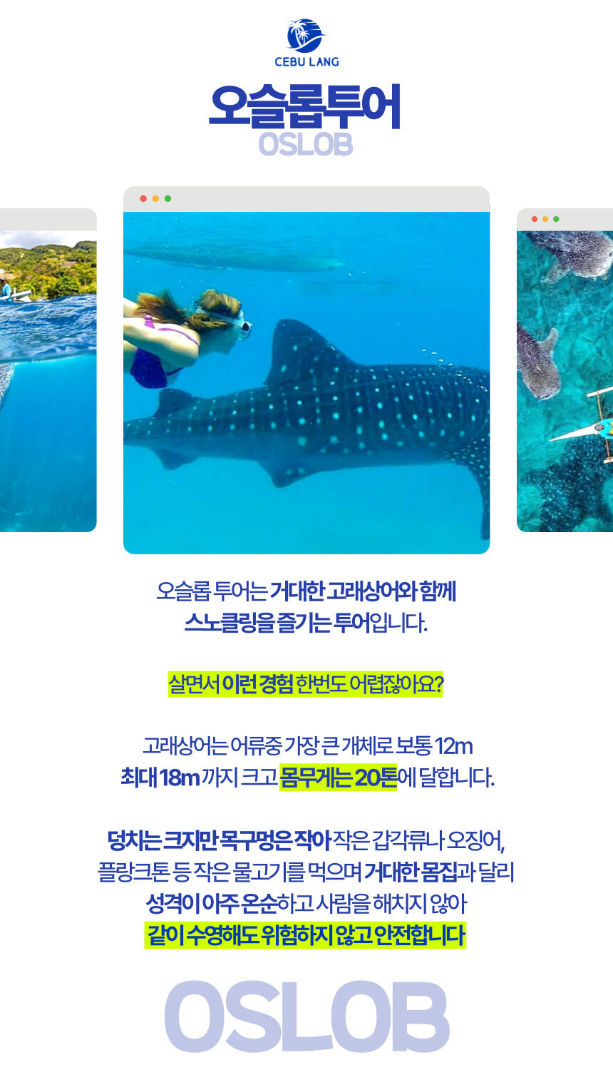 투어·티켓 상품 상세 이미지 6